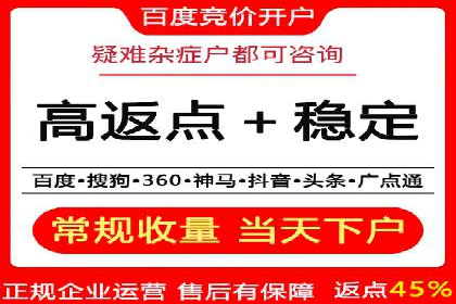 百度竞价包年服务：打造企业核心竞争力